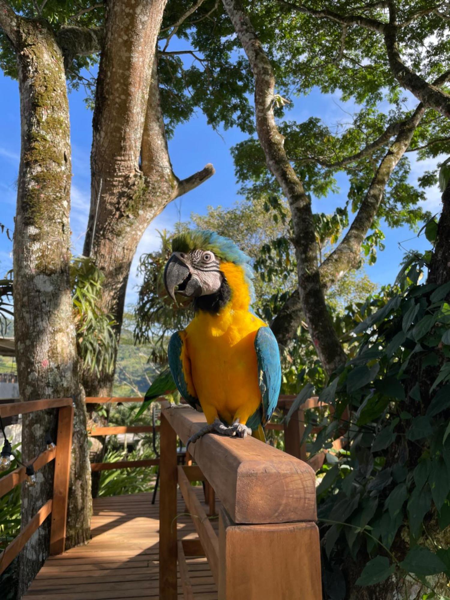 Home Boutique Natural Paradise ラ・ベガ エクステリア 写真
