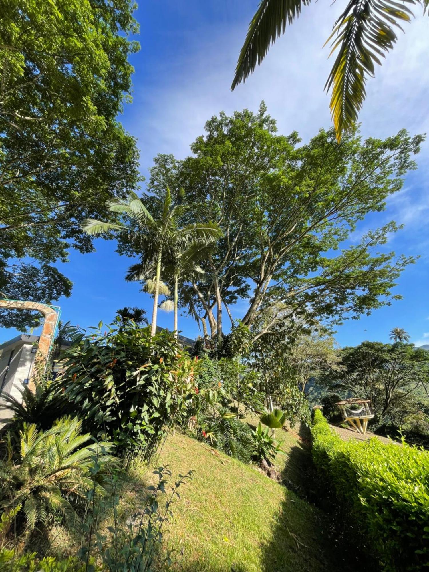 Home Boutique Natural Paradise ラ・ベガ エクステリア 写真